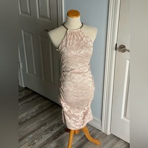 Cache Lace Dress